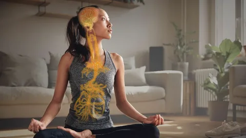 Der Vagusnerv – Die Verbindung zwischen Berührung und innerer Ruhe